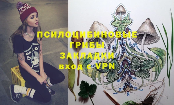 стафф Арсеньев
