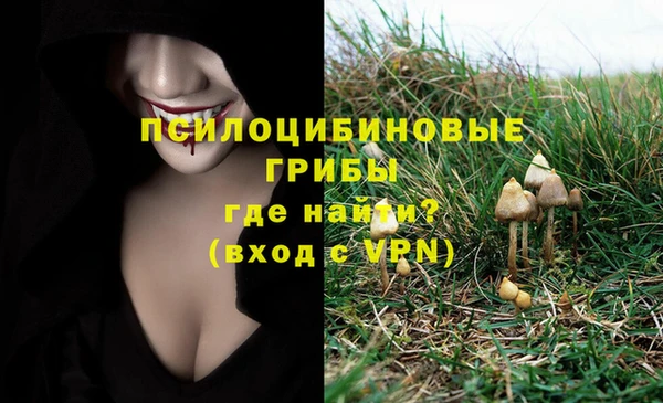 стафф Арсеньев