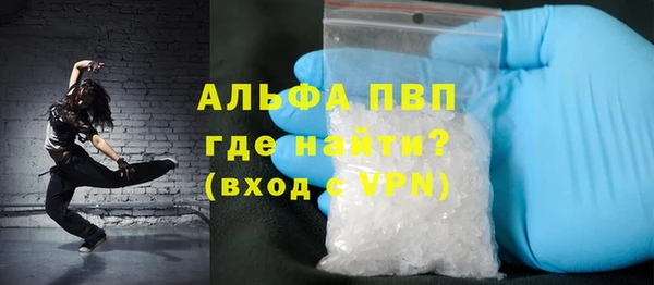 PSILOCYBIN Аркадак