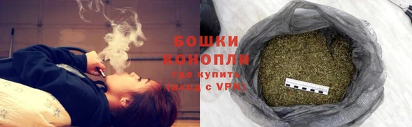 PSILOCYBIN Аркадак