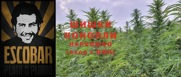 PSILOCYBIN Аркадак