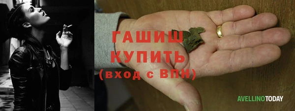 PSILOCYBIN Аркадак