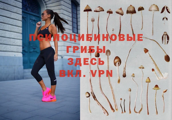 ALPHA-PVP Армянск