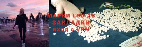 стафф Арсеньев