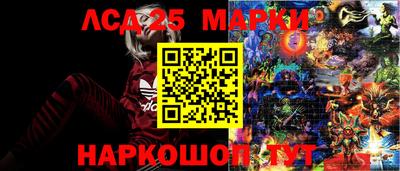 дмт Донской
